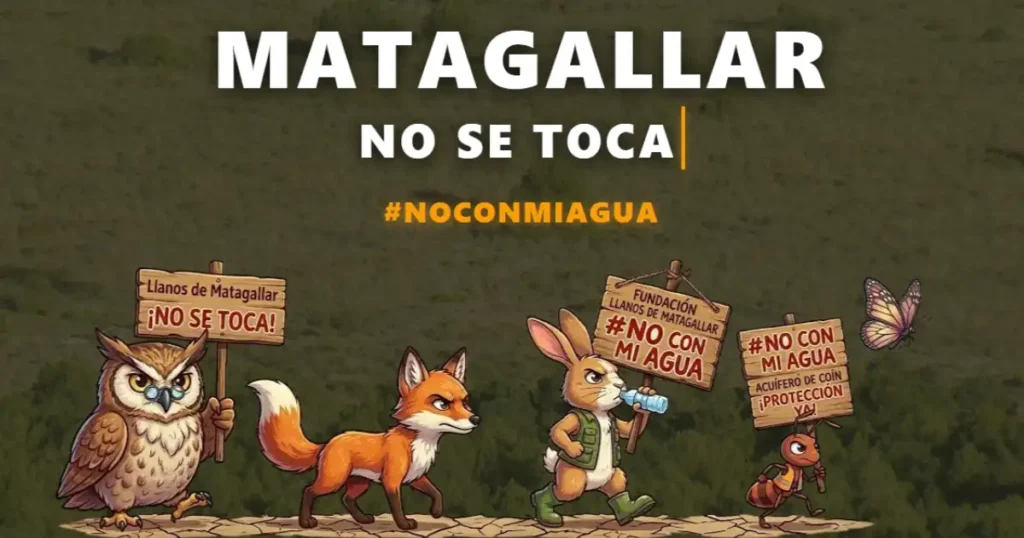 Fundación Llanos de Matagallar